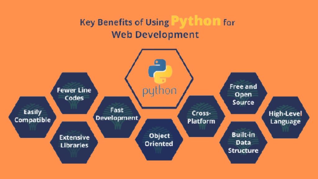 Python Programming Language - BlueBell IT Services